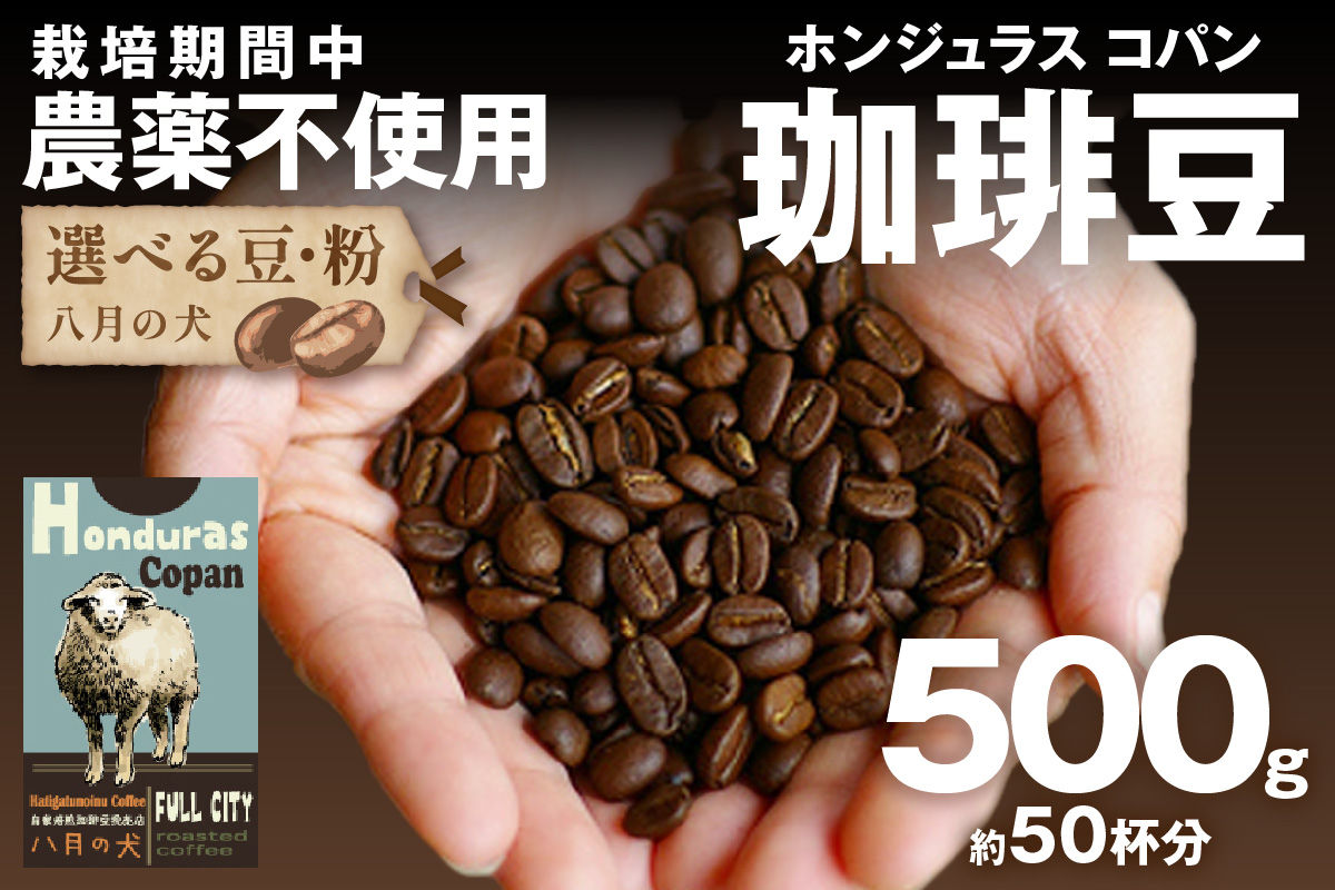 【栽培期間中農薬不使用】自家焙煎コーヒー豆 ホンジュラス　コパン 500g（250g×2） 約50杯分 小分け　豆・粉 選べる　HA00025