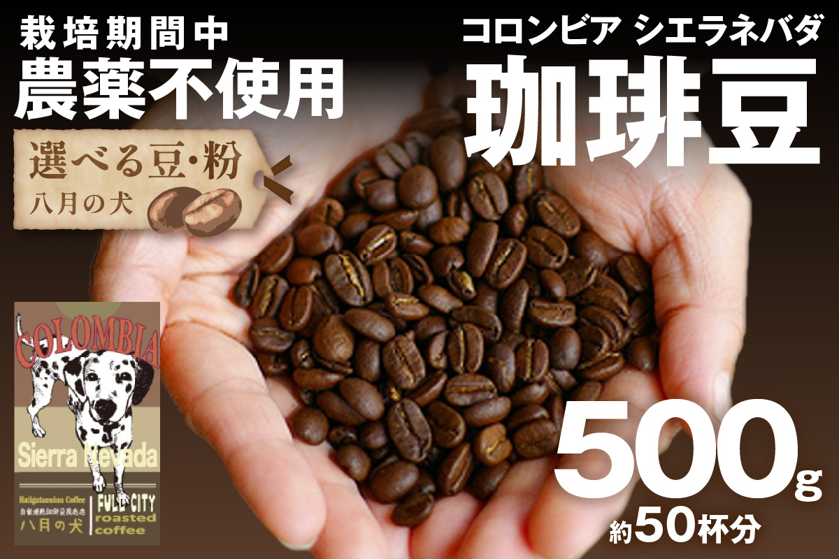 【栽培期間中農薬不使用】自家焙煎コーヒー豆 コロンビア シエラネバダ 500g（250g×2） 約50杯分 小分け　豆・粉 選べる　HA00026