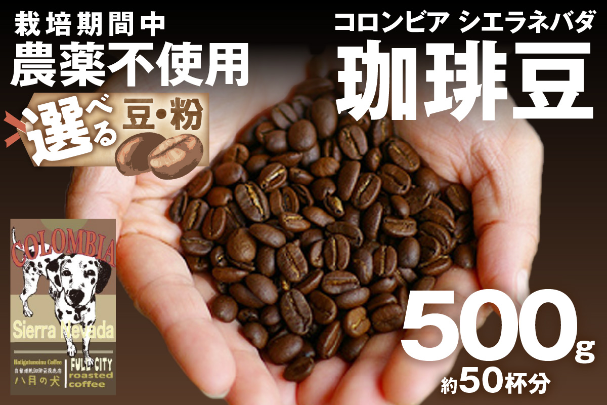 【栽培期間中農薬不使用】自家焙煎コーヒー豆 コロンビア シエラネバダ 500g（250g×2） 約50杯分 小分け　豆・粉 選べる 飲料 珈琲 こーひー コーヒー coffee　HA00026