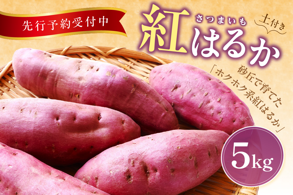 【先行予約／数量限定】京丹後産 土付き 紅はるか（さつまいも） 5kg（2026年11月上旬～発送）　HF00014