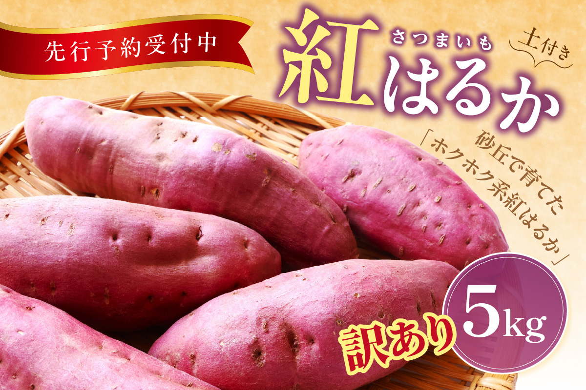 【先行予約／数量限定】訳あり 京丹後産 土付き 紅はるか（さつまいも） 5kg（2026年11月上旬～発送） ご家庭用（優品・無洗・無洗別・特大込み）　HF00015