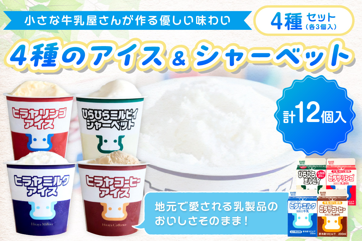 ヒラヤアイス12個セット　HG00002