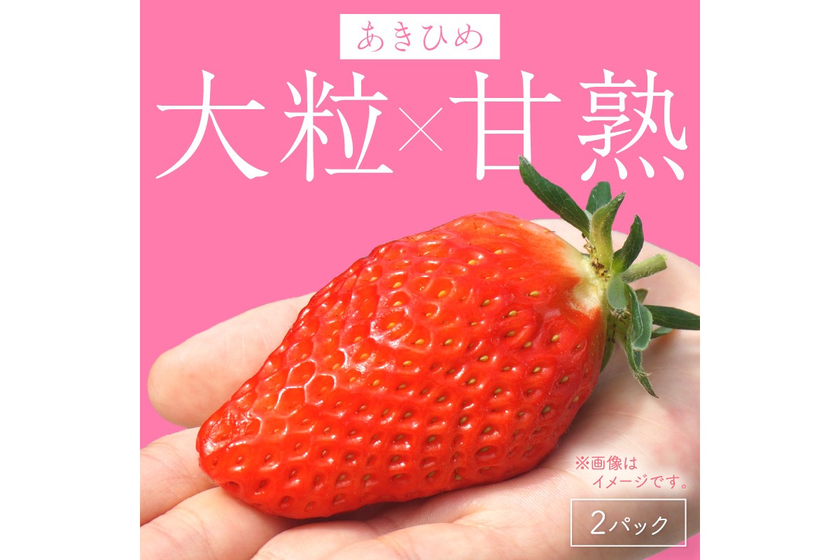 【京丹後産いちご章姫】農園直送便！新鮮大粒いちご 2パック ギフト箱入り／北畿水産　HK00159