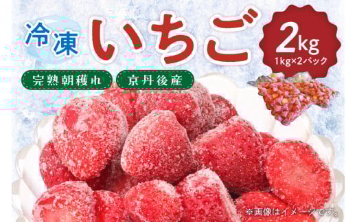 完熟朝穫れ 冷凍いちご　HK00272