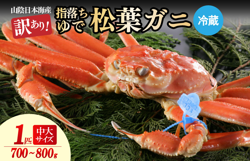 【訳あり！指落ち松葉がに】山陰沖ゆで松葉がに 700ｇ～800ｇ 中大サイズ（1月～3月発送）／北畿水産　HK00252