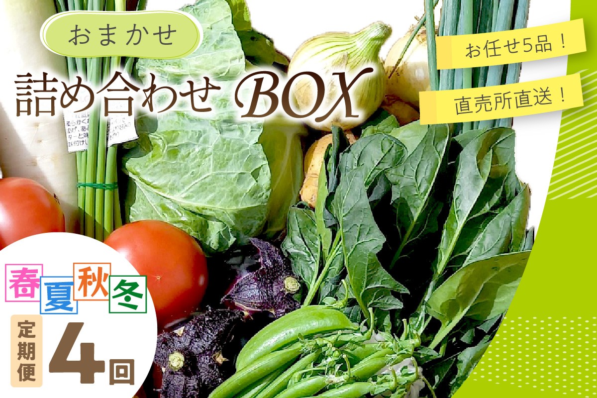 直売所直送 「京都・京丹後産 季節の野菜」お任せ詰め合わせBOX（5品） 春夏秋冬定期便4回 コシヒカリ精米 京野菜 季節 新鮮 ふるさと納税 野菜　JA00068