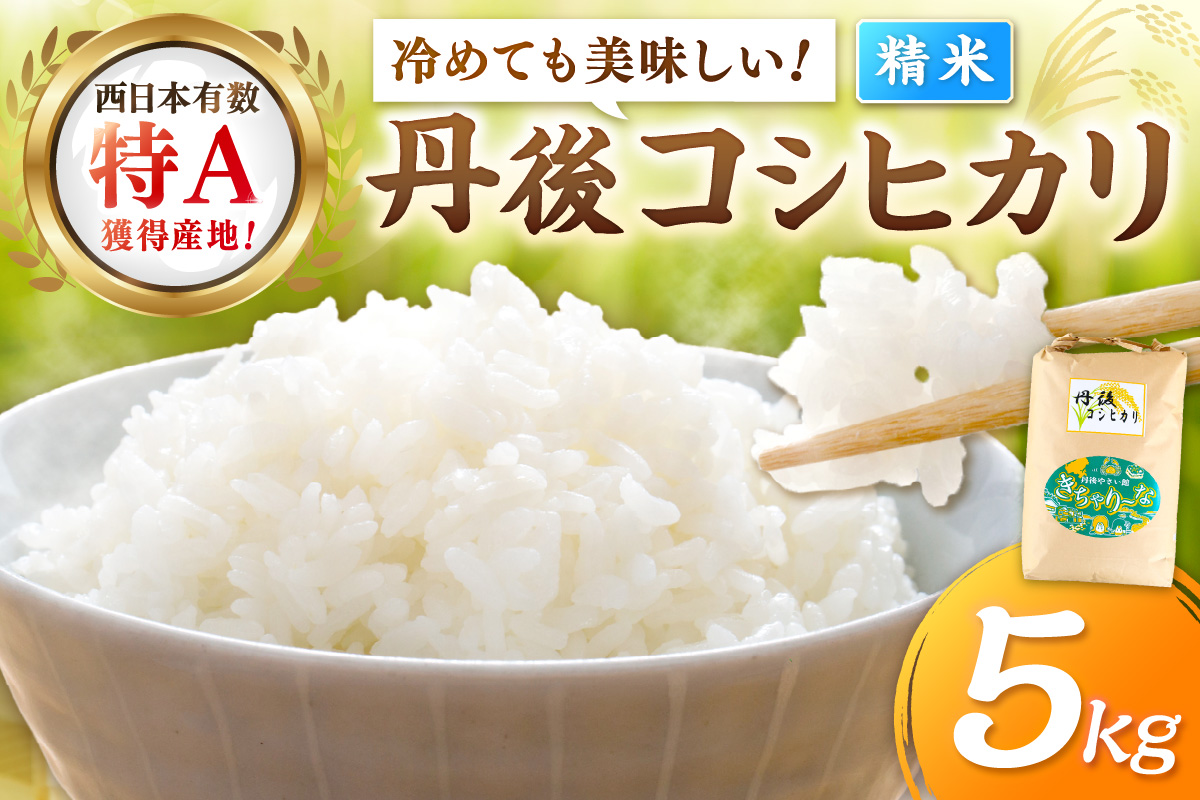 直売所直送「令和7年産　京丹後市産　コシヒカリ」　精米5kg こめ ふるさと納税 コシヒカリ 精米 米 精米 白米 2025 年 京都産　JA00082