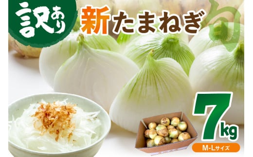 【訳あり】新たまねぎ　JA00063