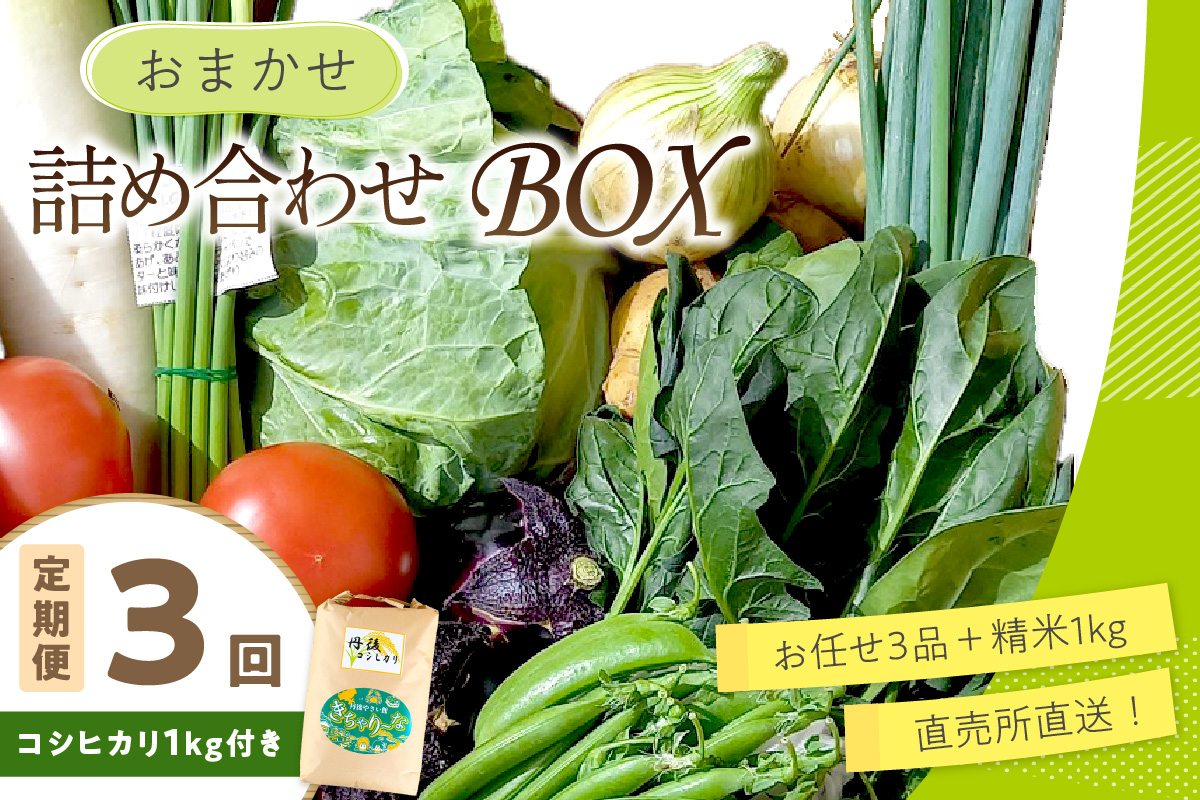 直売所直送 【訳あり】「京都・京丹後産 季節の野菜」お任せ詰め合わせBOX（3品）＋コシヒカリ精米1kg 定期便3回　JA00076