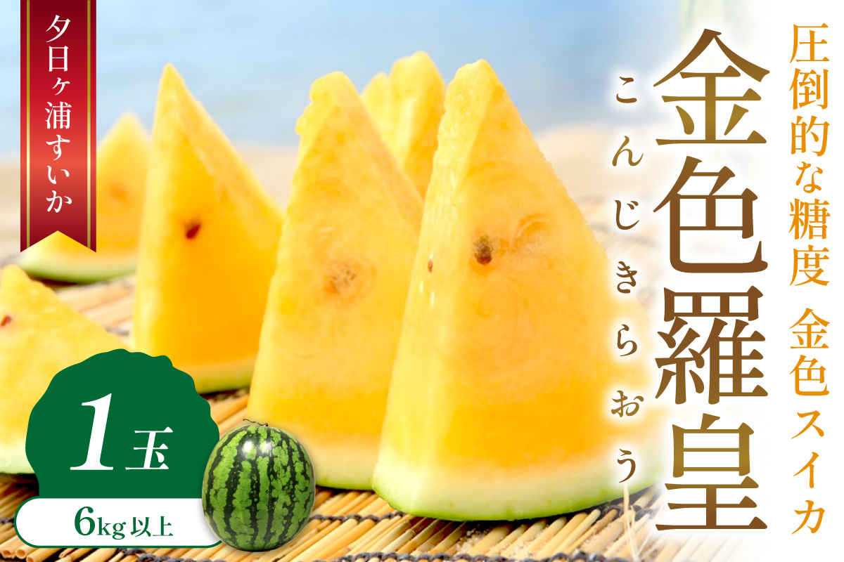 【先行予約／数量限定50】夕日ヶ浦すいか（金色羅皇） 1玉（2026年7月中旬～発送）　果物 くだもの スイカ 西瓜  ふるさと納税 スイカ ふるさと納税 先行予約 フルーツ ふるーつ 甘い 京都 丹後 高級　JK00042