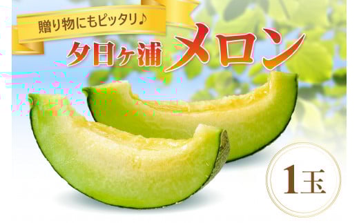 【先行予約／数量限定100】夕日ヶ浦メロン1玉（2026年7月中旬～発送）　JK00029