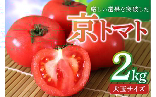 【先行予約】京丹後産・京トマト 2kg（8～10玉） 春夏発送（2026年5月中旬～発送）　JK00033