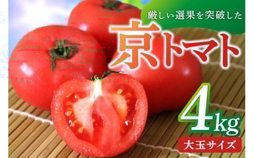【先行予約】京丹後産・京トマト 4kg（12～24玉） 春夏発送（2026年5月中旬～発送）　JK00034