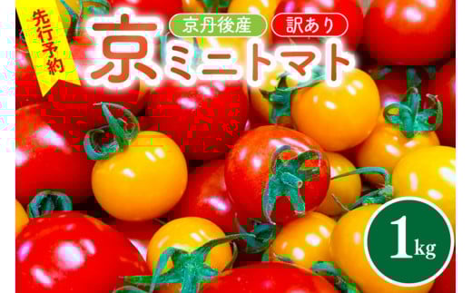 【先行予約】京丹後産・京ミニトマト 1kg（2026年5月中旬～発送）　JK00035