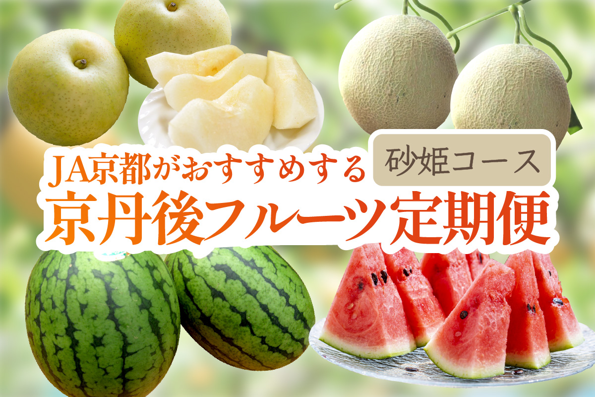 JA京都がおすすめする京丹後フルーツ定期便～砂姫コース～（2026年6月中旬～発送） 京のブランド産品 メロン めろん 梨 なし ナシ スイカ 西瓜 すいか 国産 砂丘 甘い 高糖度 高級 期間限定 ふるさと納税 フルーツ 先行予約 お取り寄せ 農協　JK00041