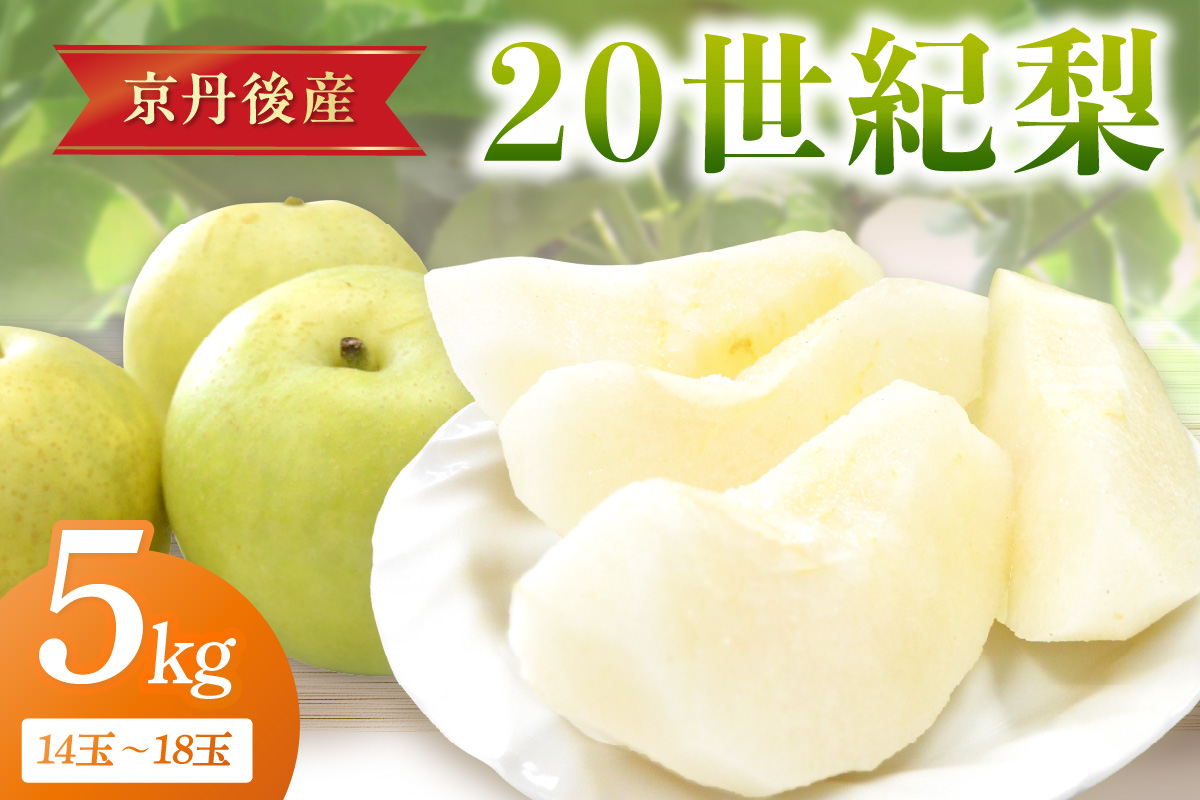 【先行予約／数量限定150】20世紀梨 5kg（2026年9月上旬～発送）　JK00038
