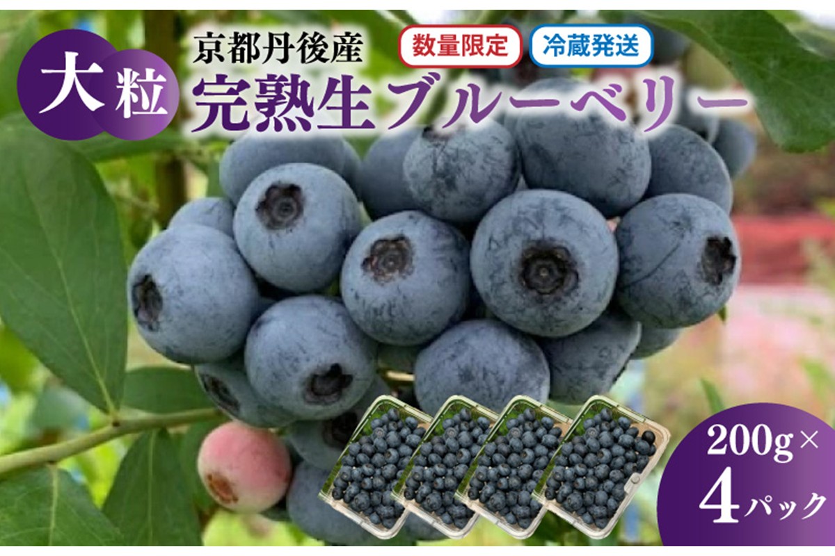 【先行予約／数量限定40】国産 大粒完熟ブルーベリー 生果 200g×4パック（栽培期間中農薬・化学肥料・除草剤不使用）（2026年7月上旬～発送）　KU00069