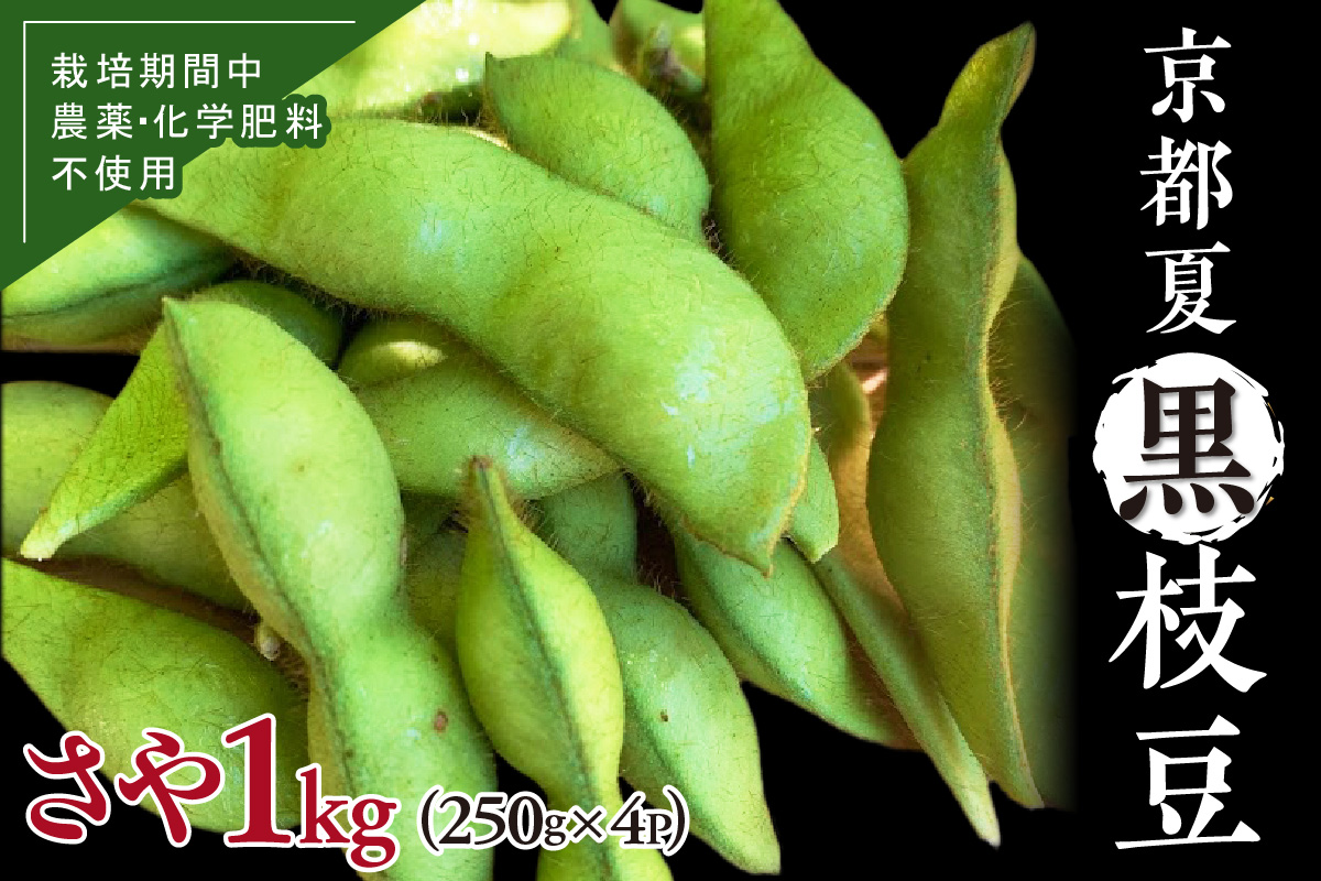 【先行予約／数量限定40】京都夏黒枝豆さや 1kg（250g×4パック）（2026年7月中旬～発送）　KU00071