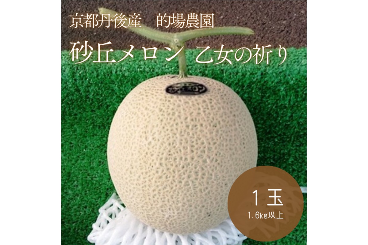 【先行予約】京都丹後久美浜産　砂丘メロン【オトメの祈り】　2Lサイズ／1玉入（2026年7月中旬～発送）　LP00003