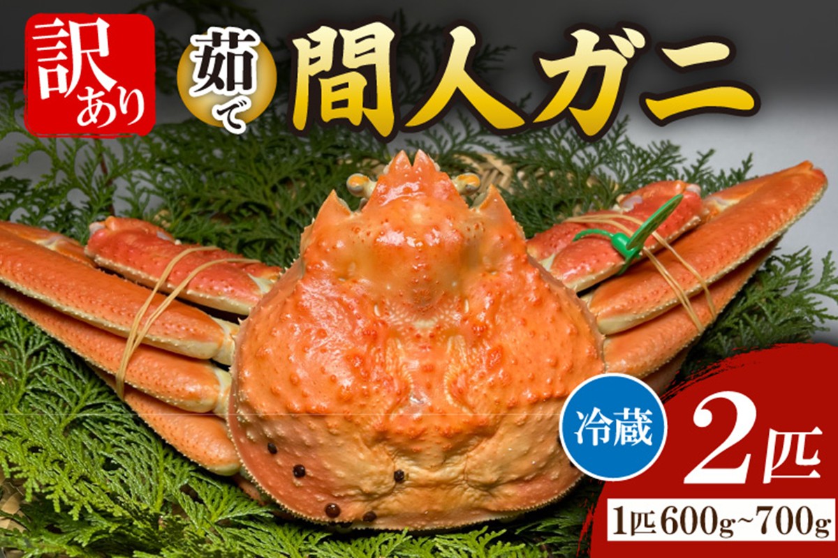 間人漁港仲買人の丸友鮮魚三代目・自慢の間人ガニ訳アリ≪茹で≫[1匹 600~700g×2匹]　MG00012