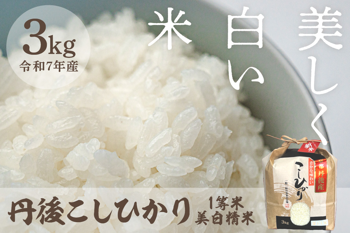 令和7年産 美白精米 丹後こしひかり 3kg 1等米　MU00053