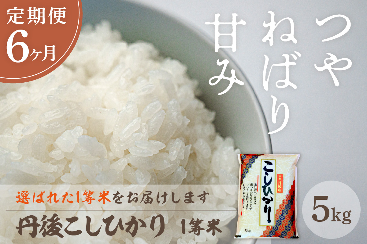 【定期便6回】令和7年産  丹後こしひかり 5kg×6ヵ月 1等米　お米 コメ こめ 丹後 コシヒカリ 精米 ふるさと 納税 コシヒカリ 精米 ふるさと 納税 こしひかり 精米 ふるさと 納税 米　MU00061