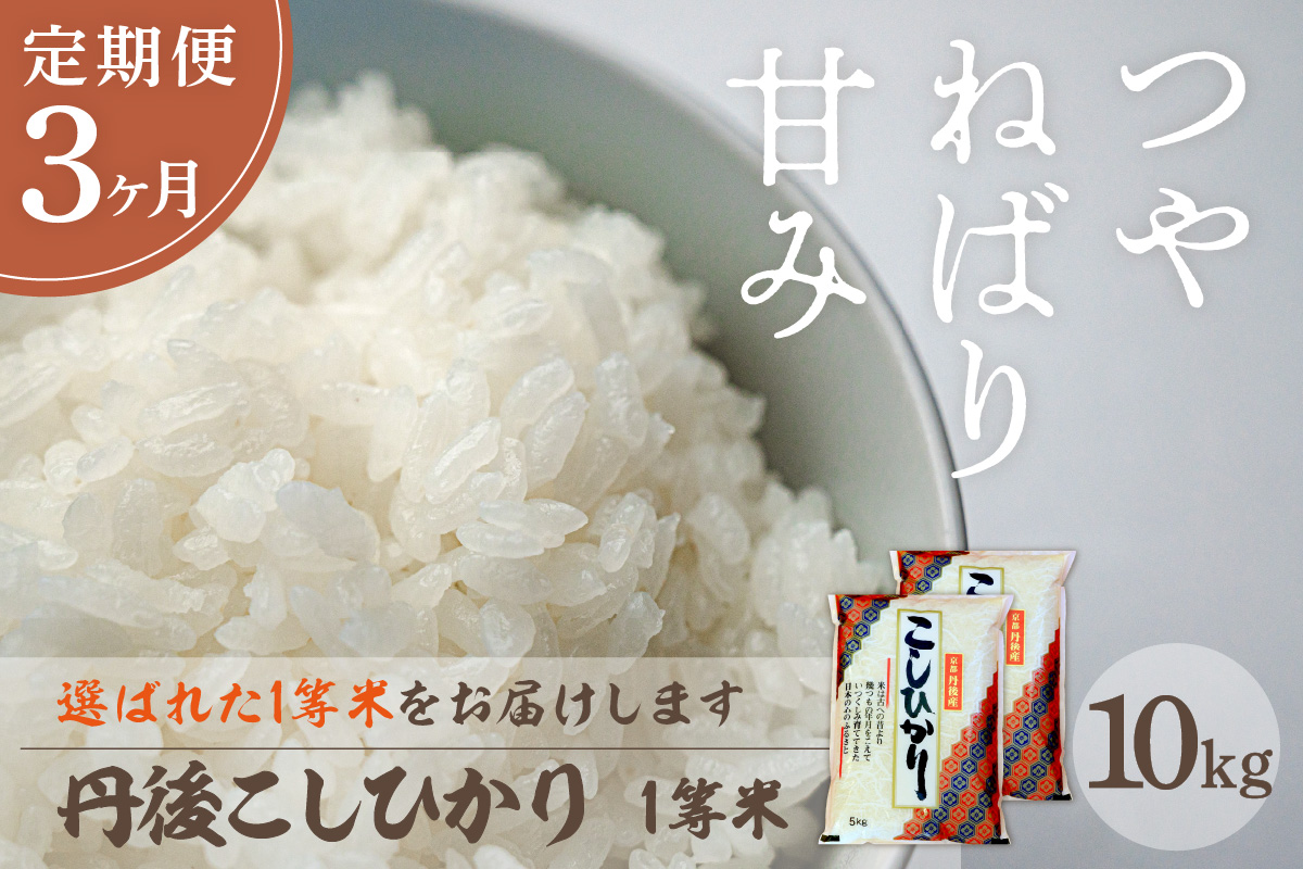【定期便3回】令和7年産  丹後こしひかり 10kg×3ヵ月 1等米　お米 コメ こめ 丹後 コシヒカリ 精米 ふるさと 納税 コシヒカリ 精米 ふるさと 納税 こしひかり 精米 ふるさと 納税 米　MU00063