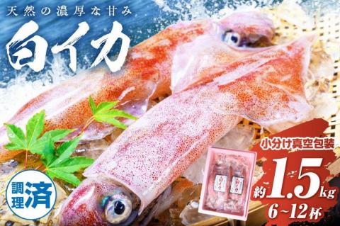 【先行予約】BBQに最適！ 白イカ（ケンサキイカ） 調理済み 正味1.5kg入り（6～12匹） ※小分け真空包装　UO01226