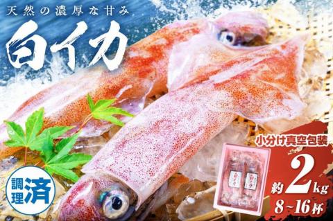 【先行予約】BBQに最適！ 白イカ（ケンサキイカ） 調理済み 正味2kg入り（8～16匹） ※小分け真空包装　UO01227