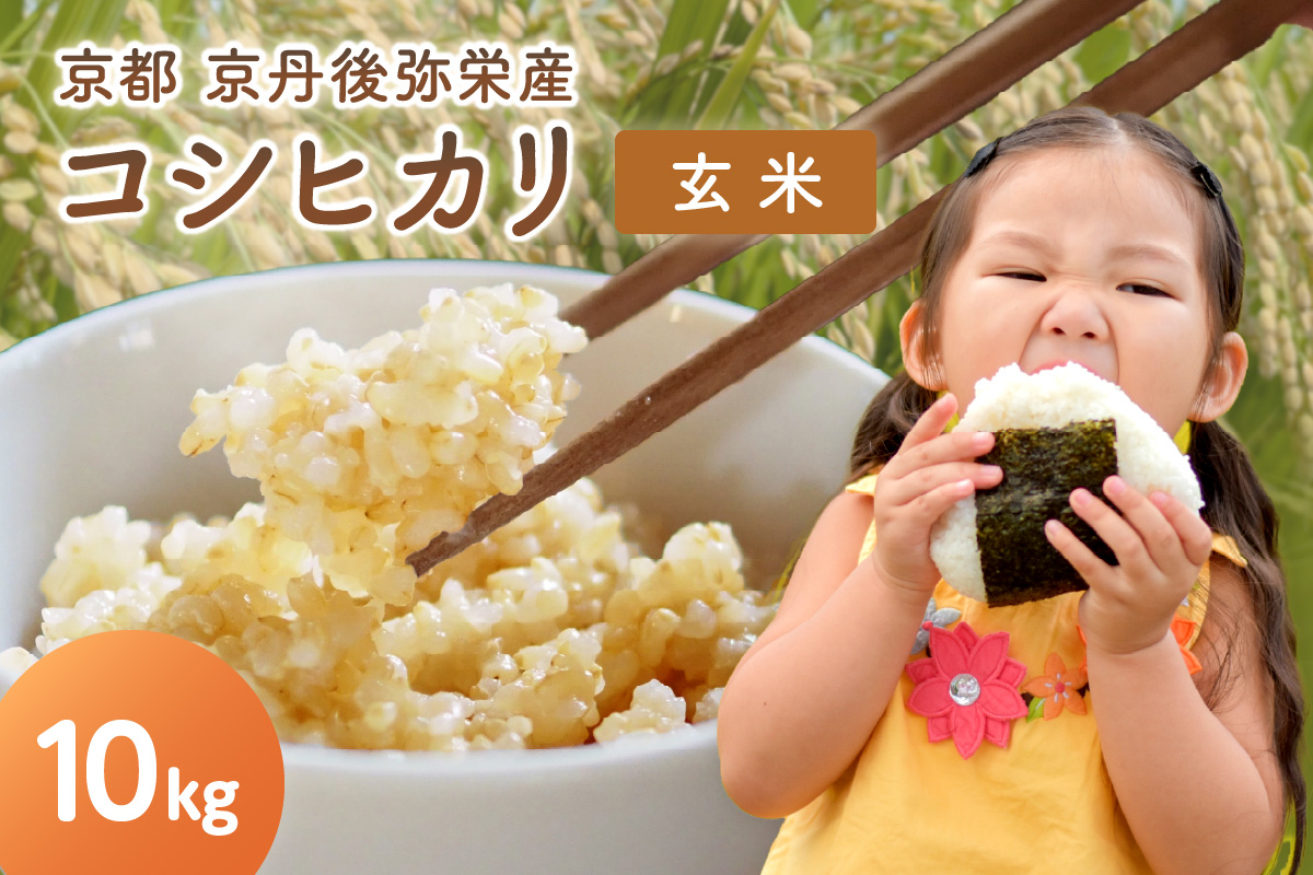 【先行予約】丹後弥栄産コシヒカリ（玄米10kg） コシヒカリ 玄米 おこめ おにぎり 京都産 お米 ふるさと納税 こしひかり　NF00006