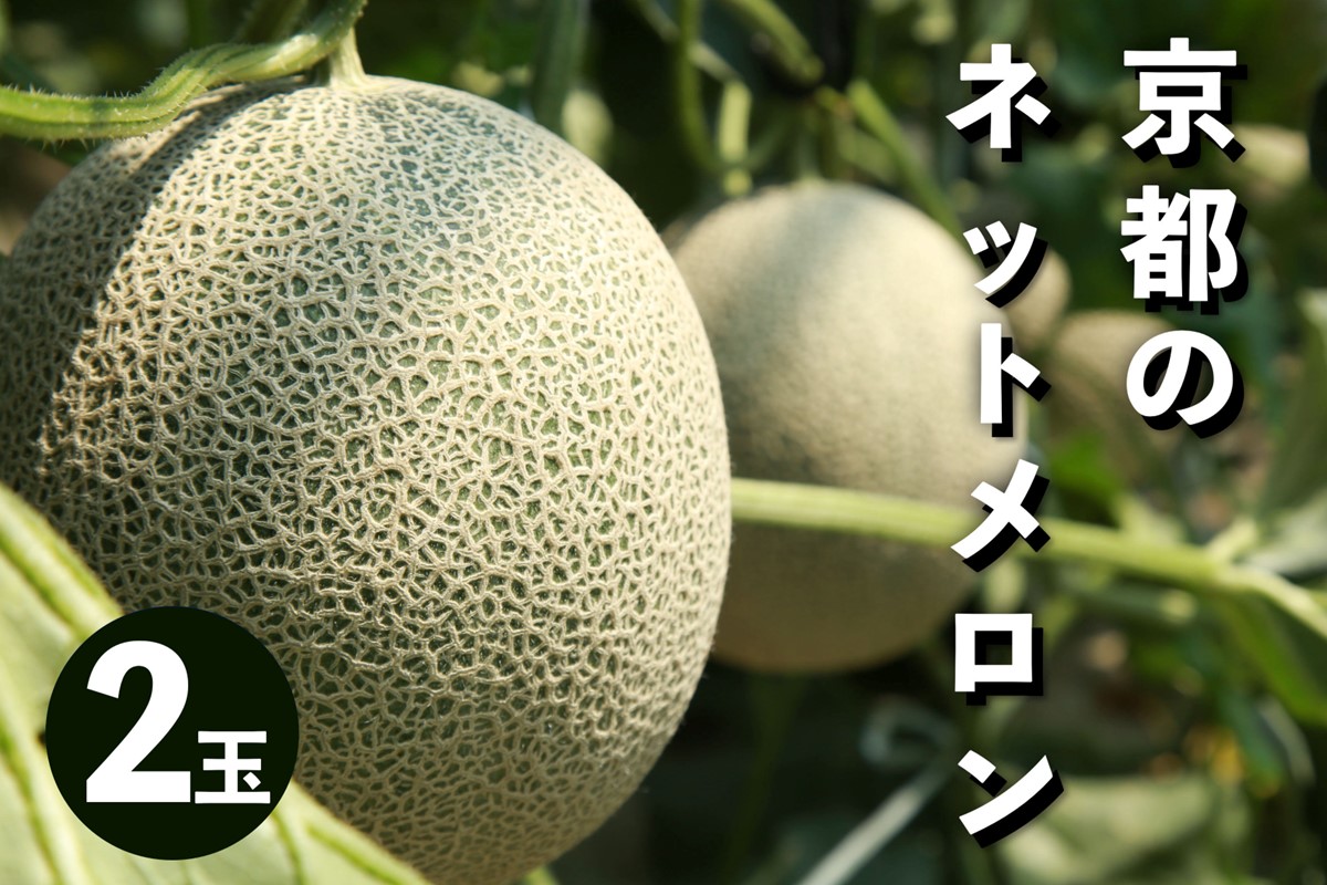 【先行予約／数量限定50】アールスメロン（ネットメロン） 2玉（2026年7月上旬～発送）　NG00014