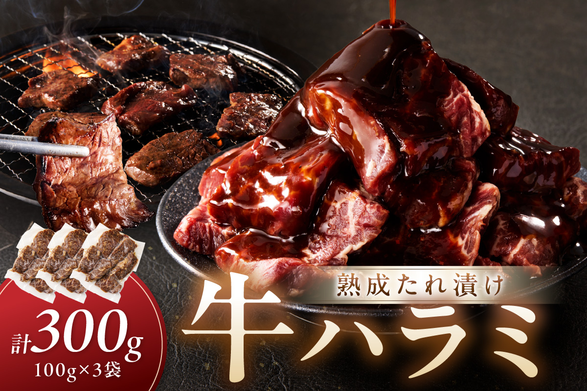 たれ漬けハラミ 1パック100ｇ×3袋　NH00044