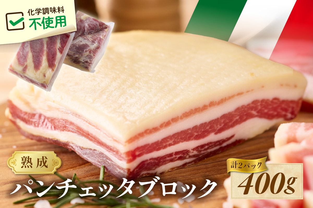 パンチェッタブロック（豚バラ肉の塩漬け）　約200g×2袋 ふるさと納税 豚肉 塩漬け ふるさと納税 ベーコン ふるさと納税 パンチェッタ 豚バラ 塩漬け スペイン料理　NI00021