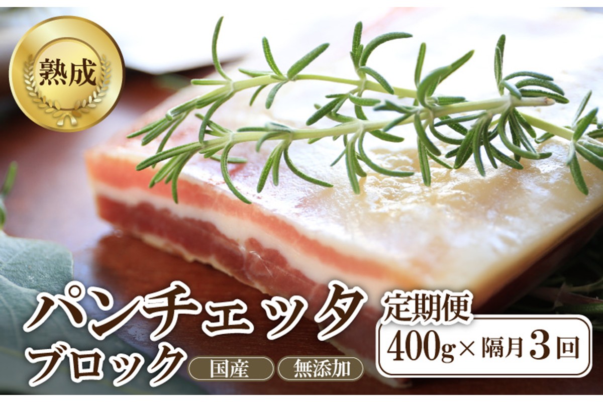 【定期便 隔月×3回】パンチェッタブロック（豚バラ肉の塩漬け）　約200g×2袋　NI00024