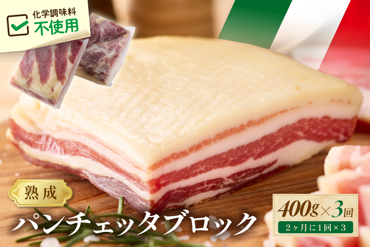 【定期便 隔月×3回】パンチェッタブロック（豚バラ肉の塩漬け）　約200g×2袋 ふるさと納税 豚肉 塩漬け ふるさと納税 ベーコン ふるさと納税 パンチェッタ 豚バラ 塩漬け スペイン料理　NI00024