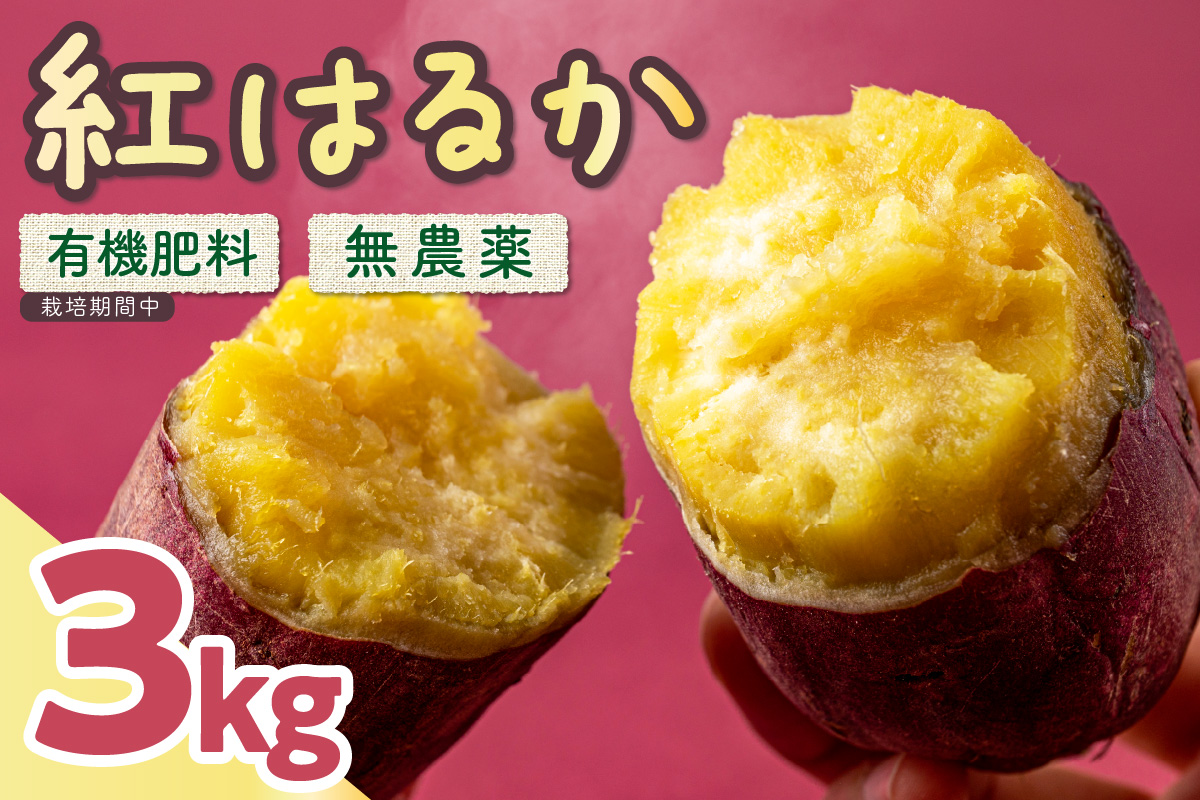 【数量限定50】農家直送 令和7年産　さつまいも3kgセット　SJ00008