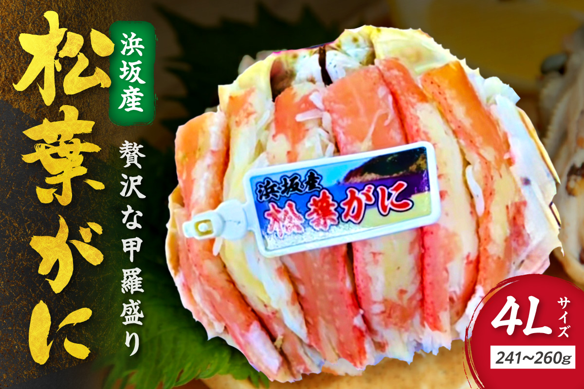 松葉ガニ甲羅盛4Lサイズ 1個 カニ 松葉蟹 ズワイガニ 甲羅盛 ふるさと納税 カニ　SK00232