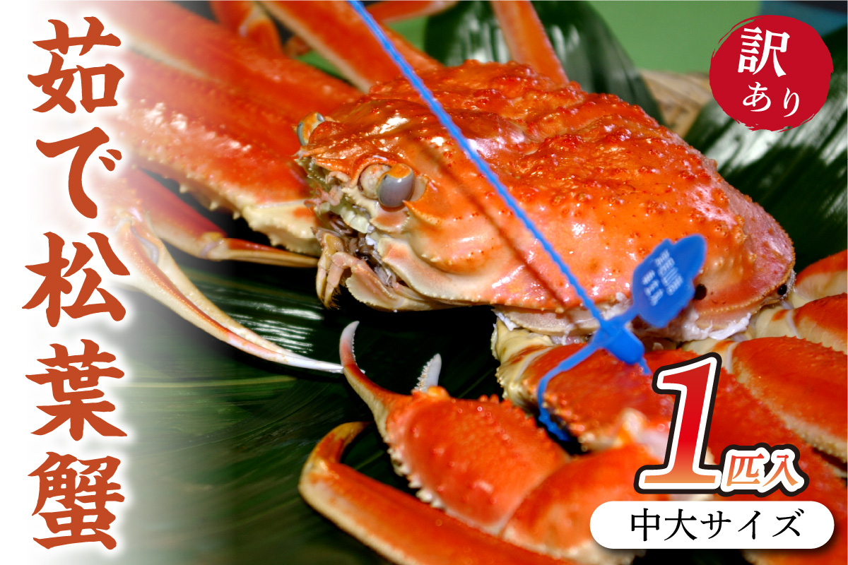 日本海産 ブランド蟹 茹で松葉蟹 【訳あり】中大サイズ　matubakani800　SS00080
