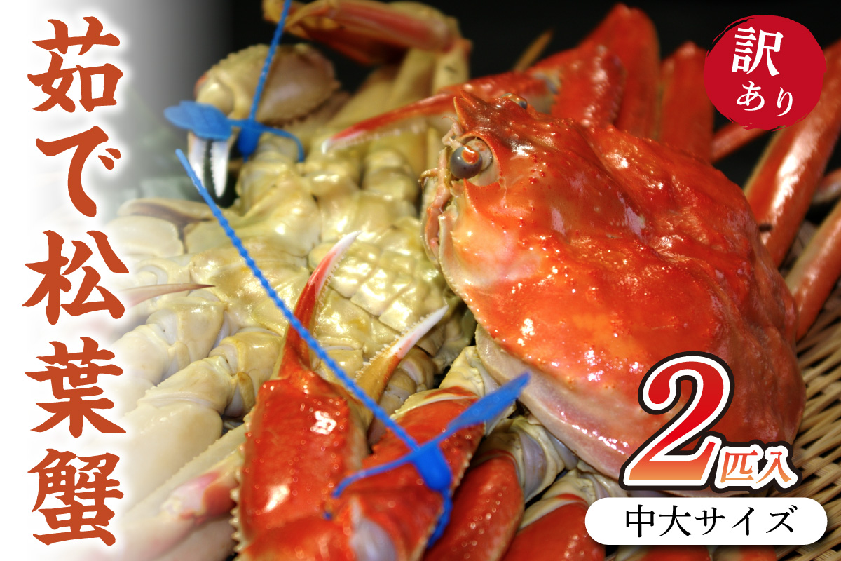日本海産　ブランド蟹　茹で松葉蟹【訳あり】中大サイズmatubakani800 2匹入り　SS00082