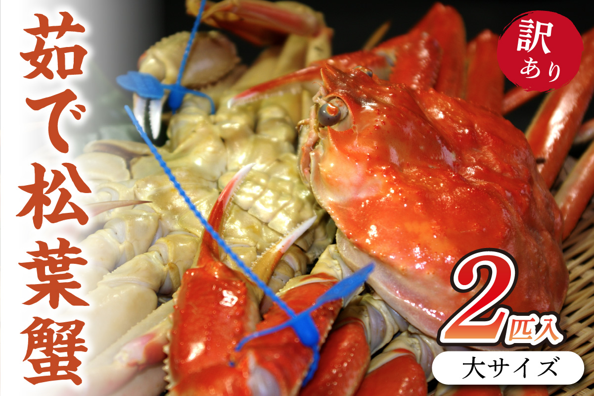 日本海産　ブランド蟹　茹で松葉蟹【訳あり】大サイズmatubakani900　2匹入り　SS00083