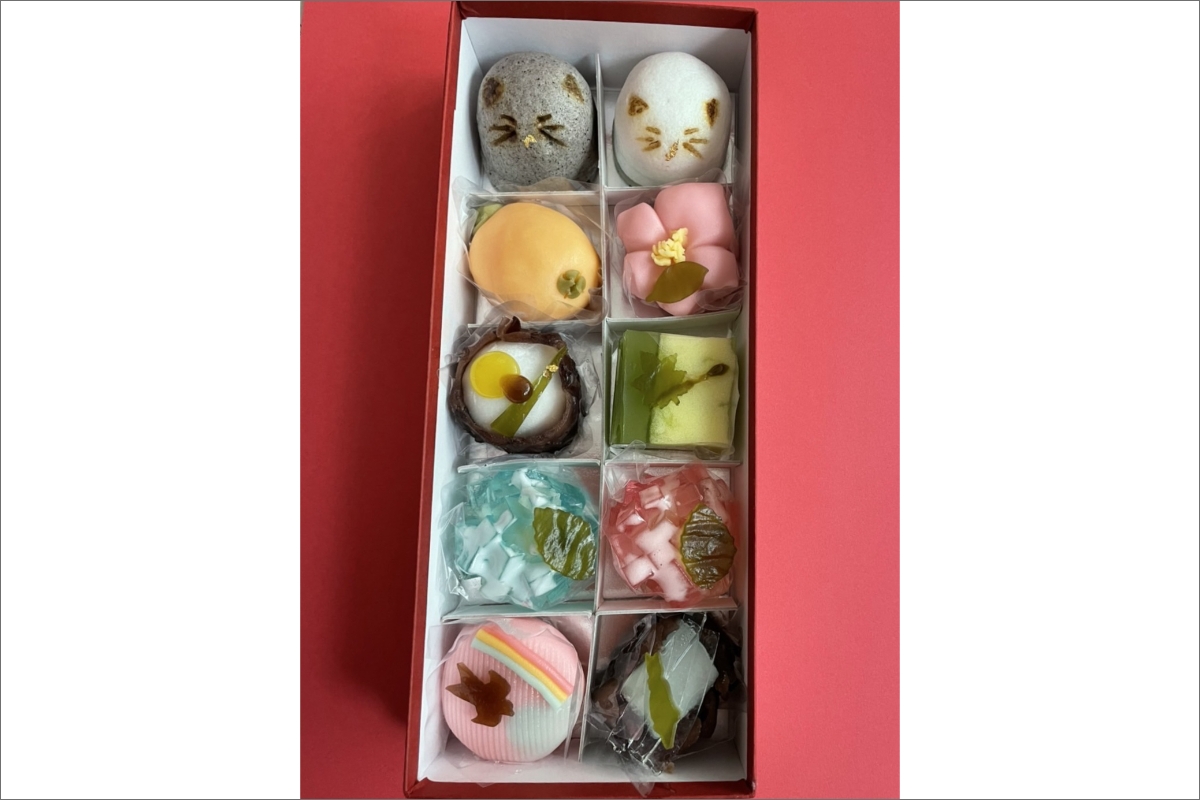 猫 NEKO-NO-EN(ねこのえん),季節の上生菓子10ヶ入セット　TD00009