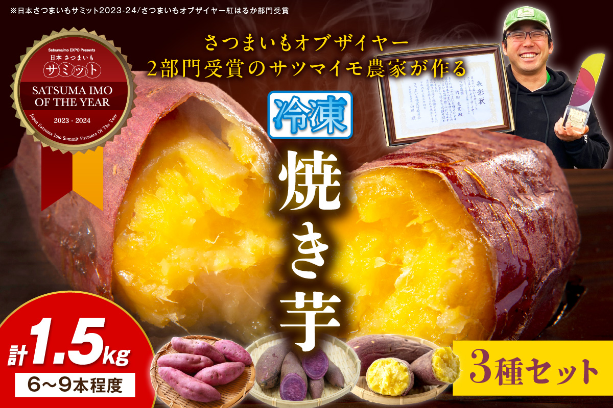 【先行予約】日本一！さつまいもオブザイヤー2部門受賞のサツマイモ農家が作る「紅はるか」「ふくむらさき」「栗かぐや」各500g程度の冷凍焼き芋計約1.5kg（6～9本程度）（2026年2月中旬～発送）　TF00063