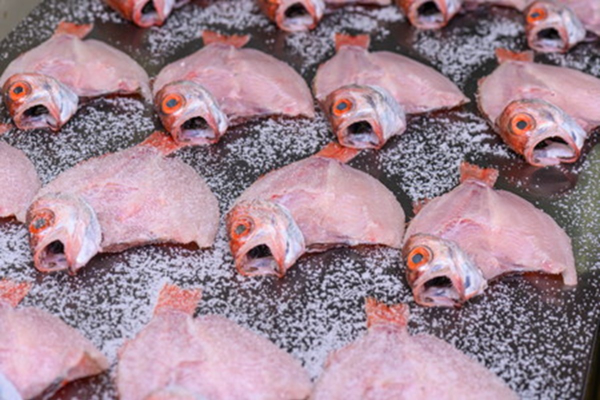 【海鮮の匠　魚政】のどぐろ熟成一汐（ノドグロ、のど黒、アカムツ）500g級使用 仕上がり後 370g以上 3尾セット 海鮮 魚介 天然塩 冷凍 干物 一夜干し 脂のり 焼き魚 高級魚 旬 旨み 凝縮 塩焼き 煮付け 濃厚 上質 脂 日本海 個包装 魚政 送料無料　UO01078