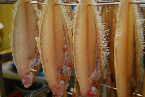 笹かれい一夜干し（ササカレイ、ヤナギムシカレイ）大サイズ 5尾セット　UO00065