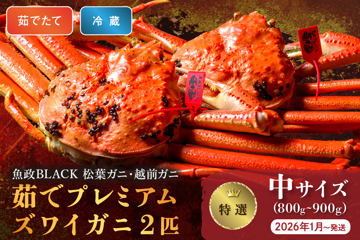 【蟹の匠 魚政】茹で　プレミアムズワイガニ 魚政BLACK（松葉ガニ・越前ガニ）特撰 中サイズ（800～900g） 2匹セット　 (2026年1月～発送)　UO01305