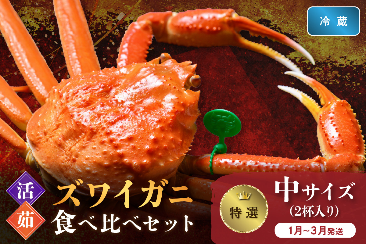 【蟹の匠 魚政】　【京丹後産 特撰】ズワイガニ 食べ比べセット〈活×茹〉中サイズ2杯入り　（2026年1月～3月発送）　UO01413