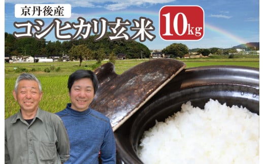 2026年産 丹後弥栄産コシヒカリ（玄米10kg） ふるさと納税 お米 米 玄米 コシヒカリ 農家直送 丹後こしひかり ふるさと納税 玄米　WD00006