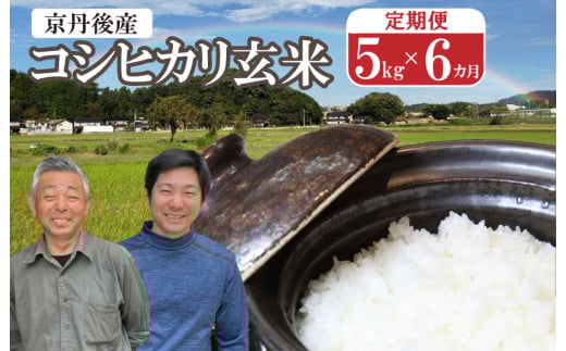 2026年産 丹後弥栄産コシヒカリ（玄米5kg）月1回×6ヵ月 ふるさと納税 お米 米 玄米 コシヒカリ 農家直送 丹後こしひかり ふるさと納税 玄米 定期便　WD00007