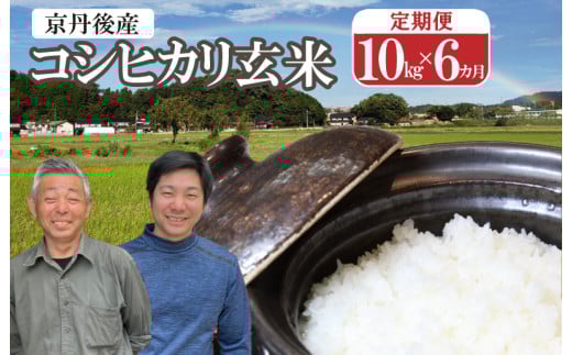 2026年産 丹後弥栄産コシヒカリ（玄米10kg）月1回×6ヵ月 ふるさと納税 お米 米 玄米 コシヒカリ 農家直送 丹後こしひかり ふるさと納税 玄米 定期便　WD00008