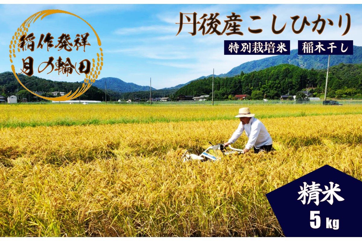 2025年産 京丹後産稲作発祥の地コシヒカリ特別栽培米 月の輪田米 精米5kg（天日干し）　WK00002